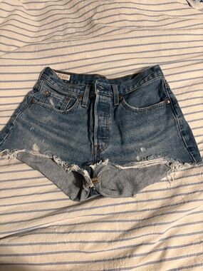 Signature by Levi Strauss Blue Distressed Denim Cutoff Shorts